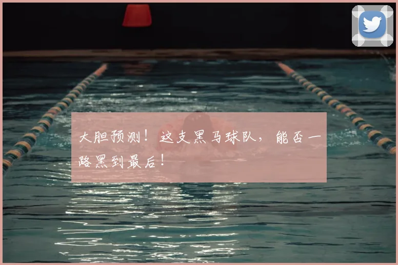 大胆预测！这支黑马球队，能否一路黑到最后！